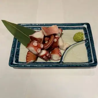 octopus