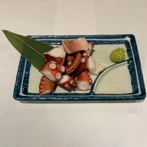 octopus
