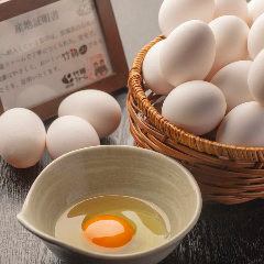 [精心挑選的雞蛋] 用精選雞蛋的高湯包裹的雞蛋