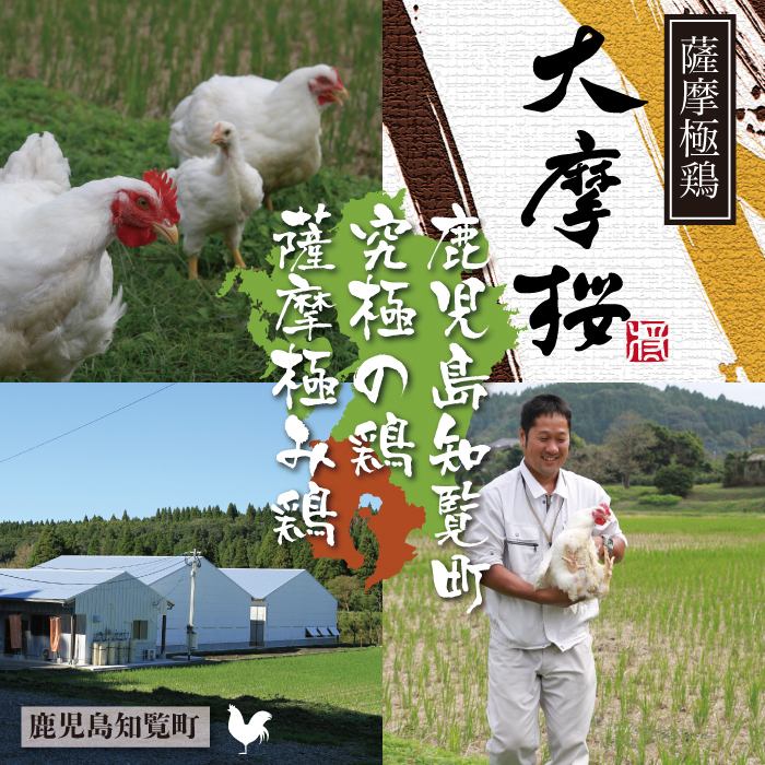 [All seats are private rooms ◎ A restaurant where you can enjoy creative chicken dishes made with Kyushu flavors]