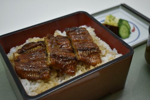 Grilled eel on rice