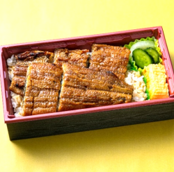 Grilled eel and rice special lunch box