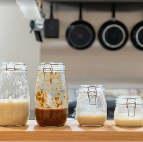  麹×発酵の魅力