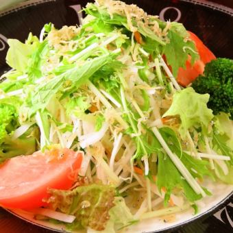 Radish, mizuna, fried potato salad