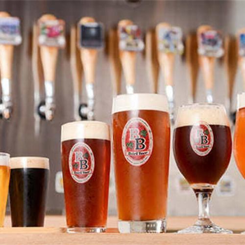 贝尔德经典啤酒:Single Take Session Ale(4.5%),辛辣清爽(250毫升/500毫升)