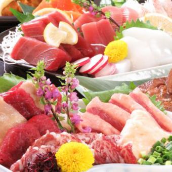 [Limited to 5 meals a day!] 8 pieces of horse meat and sashimi