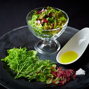 공장 야채와 녹색 샐러드