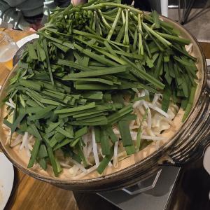 伊万里牛もつ鍋 (1人前)