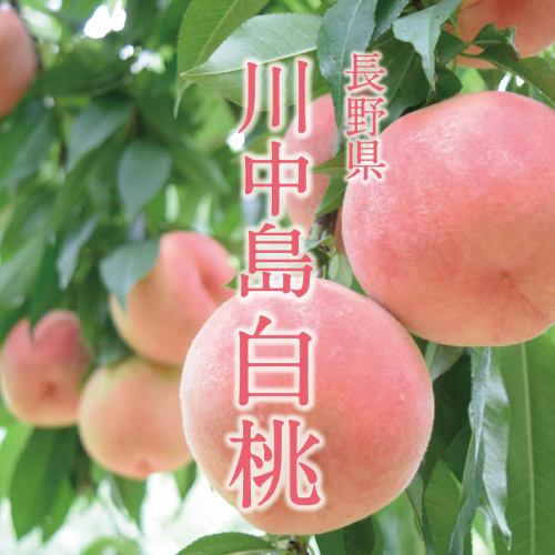 【나가노현 가와나카지마 백도 사용】시라모모 하이볼/레드 백도 베리니 각종