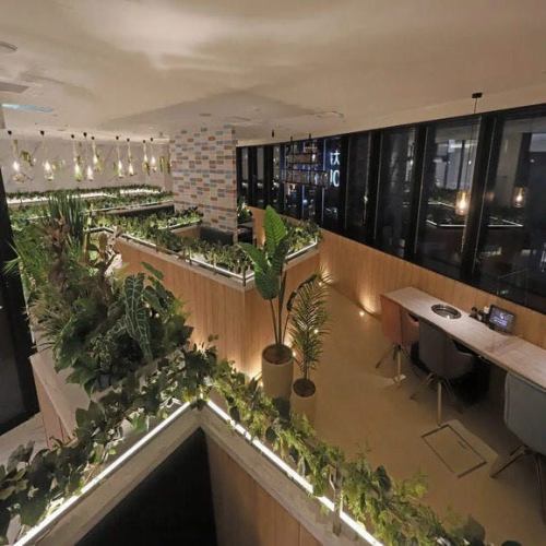 【整店可容納74-82人】歡迎聯絡我們洽談宴會、派對等大型聚會!我們也可以整店出租,舉辦74-82人的宴會。何不在綠意盎然的雅緻空間享用多樂招牌烤肉?這裡也適合舉辦公司宴會、同學會、社交聚會、活動和派對等大型聚會。有關詳細信息,請與商店聯繫。