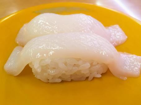 章魚/沙丁魚/魷魚/竹莢魚/鵪鶉
