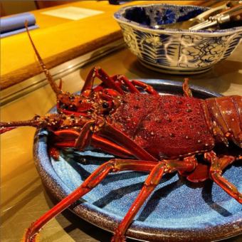 [Ise Lobster Course] A luxurious day... 9 dishes including Ise lobster and specially selected Japanese black beef steak ◆ 20,000 yen including tax