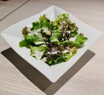 Green Caesar Salad