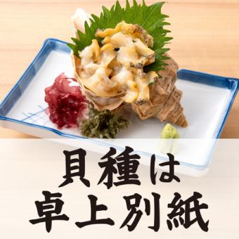 本日入荷 貝単品