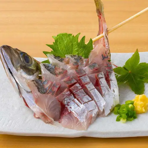 近海あじ刺身 又は たたき