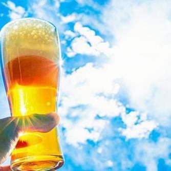 毎日13時～！！お昼から美味しい料理とお酒で乾杯♪