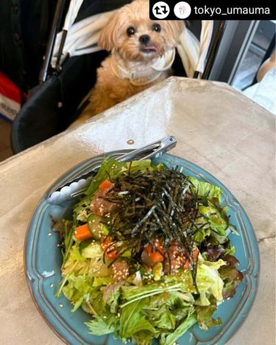 ありがとうございました‼️
リポストさせていただきます🍴🙏

#リポスト - @tokyo_umauma 
🍴他のグルメも見る→ @tokyo_umauma

雨の日も愛犬とお出かけが楽しめる！
屋根付きテラスのお店見つけました🐶✌️

✂︎————————————
🍴お店情報　井の頭テラス HONOO @inokashira_honoo 
🗾住　　所　東京都武蔵野市御殿山1-3-3 A*G井の頭公園 East棟 2F
🚃アクセス　吉祥寺駅から徒歩4分
🕰営業時間　11:30-23:00
🏡定　　休　特になし
⏳待ち時間　休日は予約していくのがオススメです！
————————————✂︎

ランチもディナーもわんこウェルカム🐶💞
井の頭公園に愛犬とお散歩に行く方、必見のお店を見つけました！

【注文したメニュー】
※特におすすめのメニューは★を付けています！

★選べるフレンチフライ（バター醤油）638円
→フライドポテト大好きなのですが、ボリュームたっぷりで好きな味を選べて美味しかった！最近量が少ないポテトを出すお店も増えてるから、この量は嬉しい☺️

★HONOO's タルタルたっぷりクラッカー 770円
→とびっ子がたっぷり入った海鮮タルタル！
　私たちはノンアルだったけど、お酒を飲む人はみんな頼んでほしいくらい美味しかった🤤

★HONOO's シュリンプカクテル 1540円
→見た目がオシャレなだけじゃない！ぷりぷりの大きなエビがたっぷり！2種類ソースがあるんだけど、マヨネーズの方は特に海老マヨになって美味しかった✨

★原木ベーコン鉄板ステーキ 825円
→大きなベーコンステーキ！この値段でいいんですかっ👀！？ボリュームたっぷりでした！

★殻付きガーリックシュリンプ 770円
→しっぽごと丸々食べられるエビさん。エビ好きさんはぜひ頼んでみてね💡

★ホットアップルパイ＆ミルクジェラート 803円
→ほんのり温かいアップルパイと冷たいアイスの組み合わせが美味しかった❣️ご飯だけじゃなくてデザートまで楽しめるのが嬉しい🍎✨

・海鮮ポキサラダ 1188円
・牛の炙りタタキ ラビゴット冷製ソース 1298円
・ティラミス 638円
・ストロベリーフィズ（果肉入り）550円
・ジンジャエール 385円

BBQが有名なお店だけど、普通にふらっとランチやディナーにもおすすめです☺️❣️
雨が降っても大丈夫なテラス席だから、お散歩中急に雨降ってきてどうしよう😢みたいな時にも、雨宿りがてらぜひ行ってみてほしいです🙌
次はBBQも行ってみたいな〜！

正直レビュー コスパ　：★★★★★ 美味しさ：★★★★★ 総合評価：★★★★★

おすすめ利用シーン
愛犬:◎
友達:◎
大人数飲み会:◎
デート:◎ 
インスタグラム@tokyo_umauma では、実際に足を運んで感じたグルメ情報を東京中心にお伝えします。
※不定期で旅行先のグルメ情報もアップします。
ぜひフォローいただけると嬉しいです🐰🍴

#井の頭テラスhonoo #吉祥寺グルメ #吉祥寺カフェ #吉祥寺ディナー #吉祥寺犬連れ #井の頭公園グルメ #井の頭公園