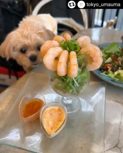ありがとうございました‼️
リポストさせていただきます🍴🙏

#リポスト - @tokyo_umauma 
🍴他のグルメも見る→ @tokyo_umauma

雨の日も愛犬とお出かけが楽しめる！
屋根付きテラスのお店見つけました🐶✌️

✂︎————————————
🍴お店情報　井の頭テラス HONOO @inokashira_honoo 
🗾住　　所　東京都武蔵野市御殿山1-3-3 A*G井の頭公園 East棟 2F
🚃アクセス　吉祥寺駅から徒歩4分
🕰営業時間　11:30-23:00
🏡定　　休　特になし
⏳待ち時間　休日は予約していくのがオススメです！
————————————✂︎

ランチもディナーもわんこウェルカム🐶💞
井の頭公園に愛犬とお散歩に行く方、必見のお店を見つけました！

【注文したメニュー】
※特におすすめのメニューは★を付けています！

★選べるフレンチフライ（バター醤油）638円
→フライドポテト大好きなのですが、ボリュームたっぷりで好きな味を選べて美味しかった！最近量が少ないポテトを出すお店も増えてるから、この量は嬉しい☺️

★HONOO's タルタルたっぷりクラッカー 770円
→とびっ子がたっぷり入った海鮮タルタル！
　私たちはノンアルだったけど、お酒を飲む人はみんな頼んでほしいくらい美味しかった🤤

★HONOO's シュリンプカクテル 1540円
→見た目がオシャレなだけじゃない！ぷりぷりの大きなエビがたっぷり！2種類ソースがあるんだけど、マヨネーズの方は特に海老マヨになって美味しかった✨

★原木ベーコン鉄板ステーキ 825円
→大きなベーコンステーキ！この値段でいいんですかっ👀！？ボリュームたっぷりでした！

★殻付きガーリックシュリンプ 770円
→しっぽごと丸々食べられるエビさん。エビ好きさんはぜひ頼んでみてね💡

★ホットアップルパイ＆ミルクジェラート 803円
→ほんのり温かいアップルパイと冷たいアイスの組み合わせが美味しかった❣️ご飯だけじゃなくてデザートまで楽しめるのが嬉しい🍎✨

・海鮮ポキサラダ 1188円
・牛の炙りタタキ ラビゴット冷製ソース 1298円
・ティラミス 638円
・ストロベリーフィズ（果肉入り）550円
・ジンジャエール 385円

BBQが有名なお店だけど、普通にふらっとランチやディナーにもおすすめです☺️❣️
雨が降っても大丈夫なテラス席だから、お散歩中急に雨降ってきてどうしよう😢みたいな時にも、雨宿りがてらぜひ行ってみてほしいです🙌
次はBBQも行ってみたいな〜！

正直レビュー コスパ　：★★★★★ 美味しさ：★★★★★ 総合評価：★★★★★

おすすめ利用シーン
愛犬:◎
友達:◎
大人数飲み会:◎
デート:◎ 
インスタグラム@tokyo_umauma では、実際に足を運んで感じたグルメ情報を東京中心にお伝えします。
※不定期で旅行先のグルメ情報もアップします。
ぜひフォローいただけると嬉しいです🐰🍴

#井の頭テラスhonoo #吉祥寺グルメ #吉祥寺カフェ #吉祥寺ディナー #吉祥寺犬連れ #井の頭公園グルメ #井の頭公園