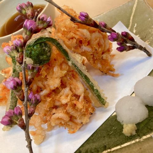 Deep-fried Sakura Shrimp