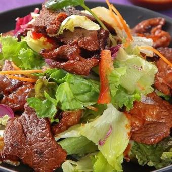 Colorful salad with roast beef