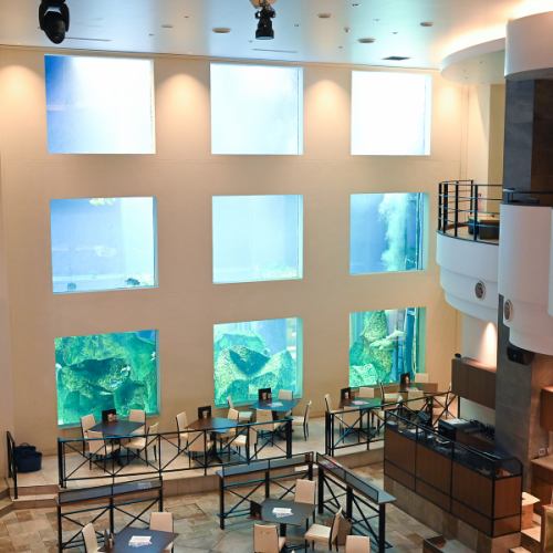 Enjoy the huge aquarium and the scenery