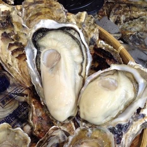 可以吃到从北海道渔港直送的生牡蛎！