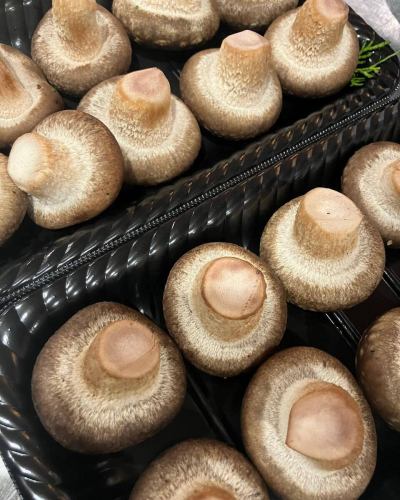 Today we would like to introduce the thick shiitake mushrooms from Yoshiki Shiitake Farm, which are served at Steak Aohige.

Beautiful, meaty shiitake mushrooms neatly arranged in rows.
It was delivered today from the northern part of the prefecture where snow still remains ☺️
Thank you as always❄️
These shiitake mushrooms are also used in the mushroom platter that accompanies Aohige's standard steak course.
A customer who came to the store yesterday was so impressed after eating it that he said, "The shiitake mushrooms were so delicious!" ☺️

This farm also produces shiitake powder and sliced shiitake mushrooms. The powder is also said to be good for adding a secret flavour to hamburger steaks. I'd love to try it out!
It seems to be a popular item sold at Yume Plaza on the main street!! Please check it out✅

Yume Plaza also has a wide selection of lunch boxes made by Beef Aohige.
Enjoy Hiroshima beef at home🥩🎶

[Steak Aohige]
Table seats: 14 seats in total
Counter seats: 9 seats in total

We offer a wide variety of course meals and single dishes.
We look forward to your online reservation or phone call 🍻
↓ ↓ ↓
※Steak Bluebeard※
〒730-0051
Hiroshima Prefecture, Hiroshima City, Naka Ward, Otemachi 1-7-23 Laforet Building 2nd floor
TEL
082-244-6611

business hours
Dinner 17:00~22:00 Lunch 11:00~15:00
Last order
Dinner 21:00 Lunch 14:00
Regular holiday
Wednesdays (except December)

#Aohige #Beef Aohige #Beef Aohige Sogo Hiroshima store #Steak Aohige #Aohige main store #Yakiniku Aohige #Hiroshima beef yakiniku Aohige #Hiroshima beef yakiniku #Hiroshima beef #Steak #Hors d'oeuvre #Gift #Lunch box #Year-end gift #I want to connect with people who like meat #Hamburg steak #Locally produced and consumed #Gift #Kumanocho #Year-end party #New Year's party #Hiroshima gourmet #Recommended Hiroshima restaurant #Hiroshima meat #Otemachi #Otemachi lunch #Otemachi dinner #Otemachi gourmet #Wagyu beef #Yoshiki shiitake mushroom