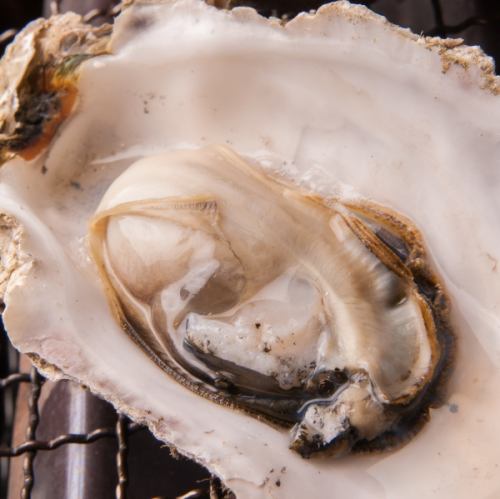 厚岸牡蛎“丸右卫门”的烤牡蛎（1个）