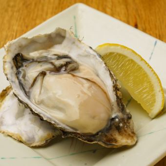 Raw oysters from Akkeshi oysters "Maruemon" (1 piece)