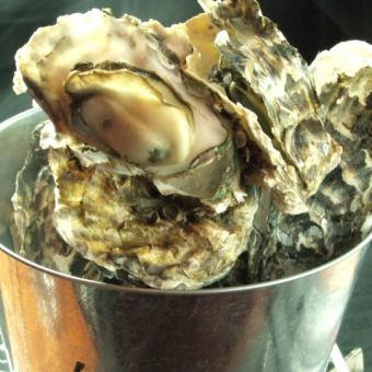 牡蠣のガンガン焼き(5個)