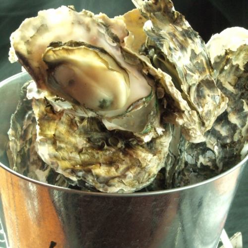 牡蠣のガンガン焼き（5個）