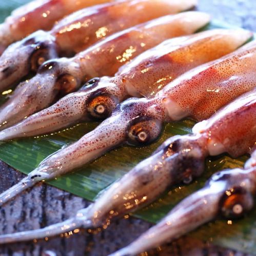 Taste of spring! Firefly squid