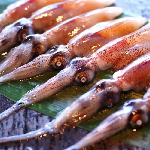 ホタルイカの天ぷら