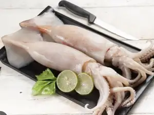 魷魚