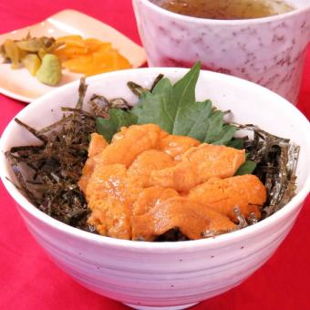 Sea urchin mini bowl