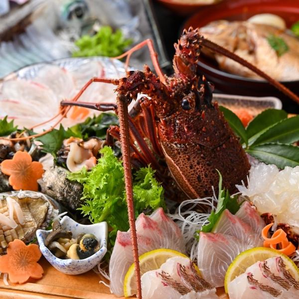 【３H飲放】伊勢海老付刺盛り「極」×帆立や金目鯛に天麩羅含む全8品『瑠璃海』10940円⇒10000円
