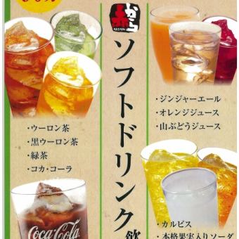 All-you-can-drink soft drinks: 800 yen (880 yen including tax)