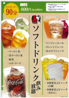 All-you-can-drink soft drinks: 800 yen (880 yen including tax)