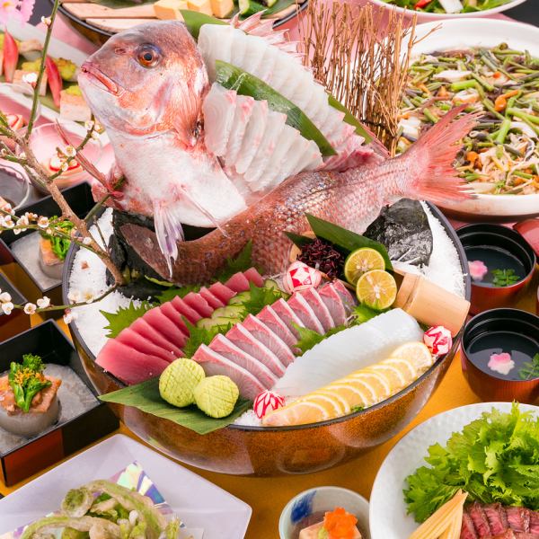 Seasonal cuisine only (drinks not included) course is very popular ◎ Very popular for important dinners, celebrations, entertainment, etc. such as spring welcome and farewell parties ♪