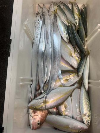 個室四季料理くらりで