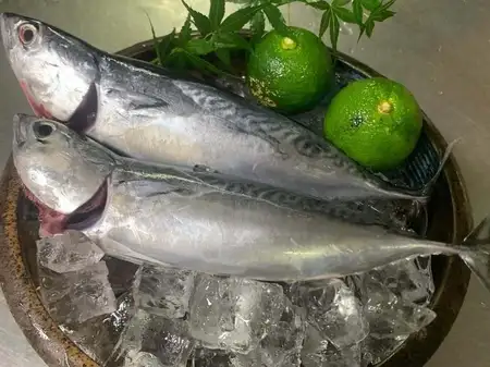 個室四季料理くらりで