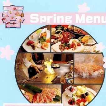 ★春季樱花特惠课程★