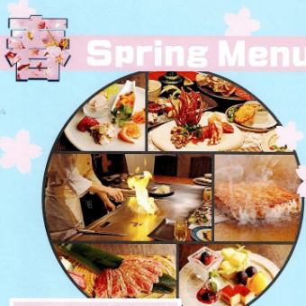 ★春季樱花特惠课程★