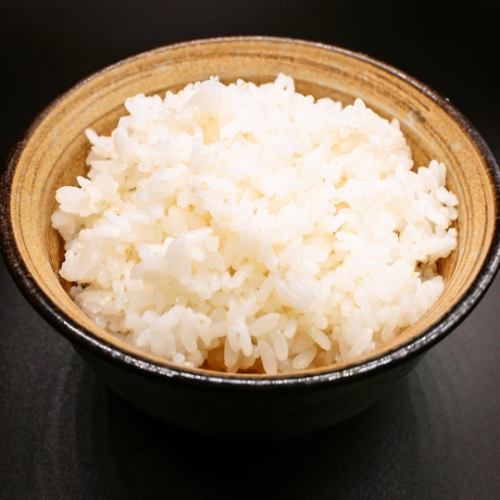 ごはん 小