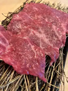 上赤身