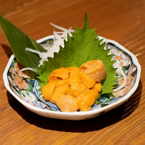 sea urchin