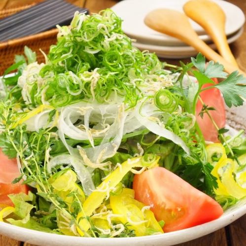 美味しい野菜がたっぷり楽しめる創作料理をご提供♪
