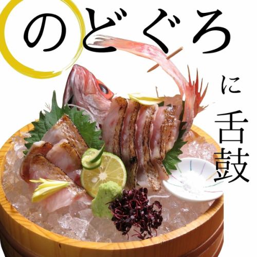 A Kanazawa specialty! Grilled rosy seabass sashimi