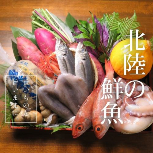 Sashimi! Blackthroat seaperch! Fresh fish delivered directly from the source is fresh and delicious♪