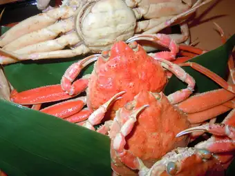 Kaiseki course with snow crab and domestic beef steak: 6,850 yen